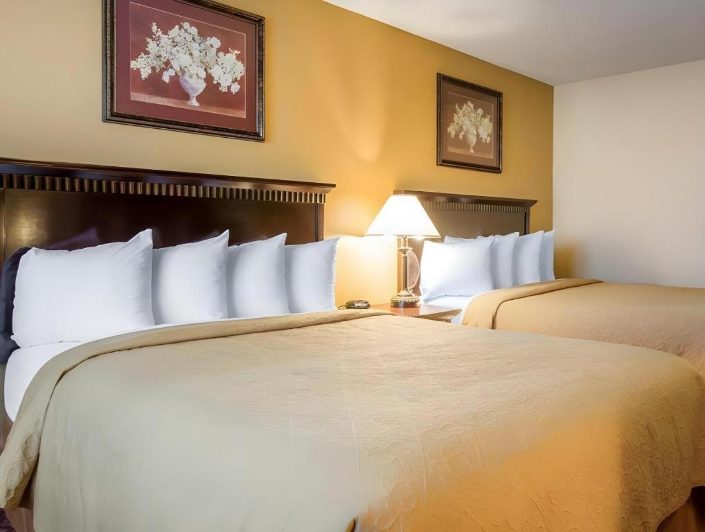 Quality Inn San Bernardino Exterior photo