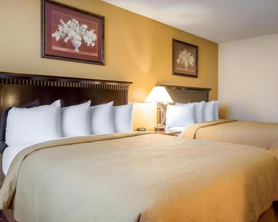 Quality Inn San Bernardino Exterior photo